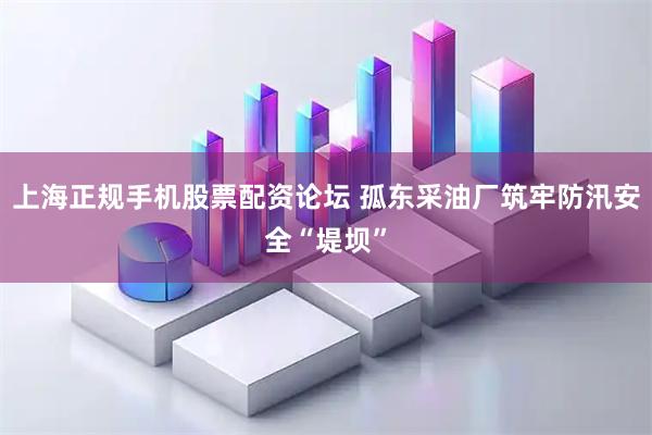 上海正规手机股票配资论坛 孤东采油厂筑牢防汛安全“堤坝”