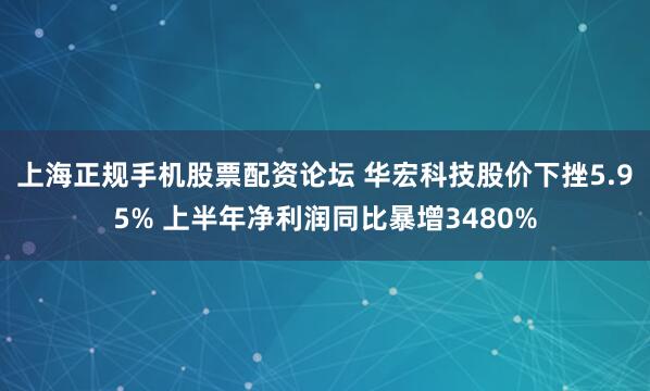 上海正规手机股票配资论坛 华宏科技股价下挫5.95% 上半年净利润同比暴增3480%