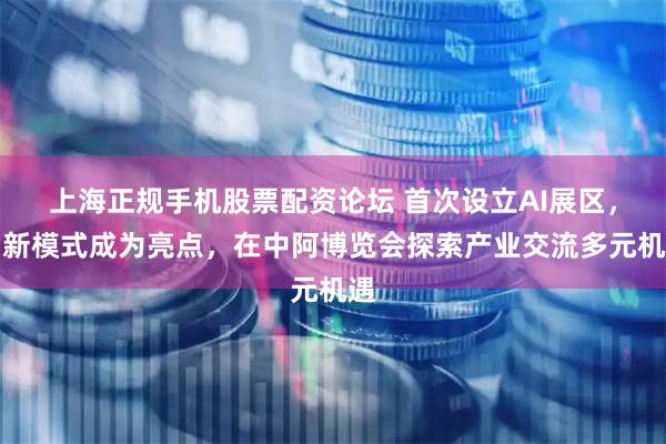 上海正规手机股票配资论坛 首次设立AI展区，创新模式成为亮点，在中阿博览会探索产业交流多元机遇