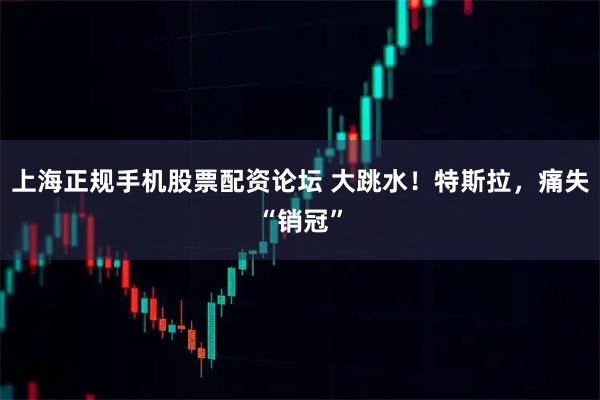 上海正规手机股票配资论坛 大跳水！特斯拉，痛失“销冠”
