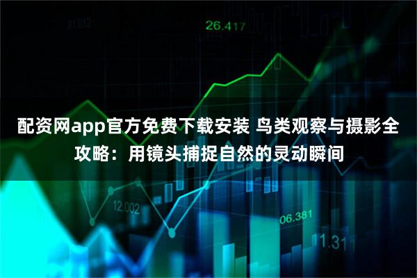 配资网app官方免费下载安装 鸟类观察与摄影全攻略：用镜头捕捉自然的灵动瞬间