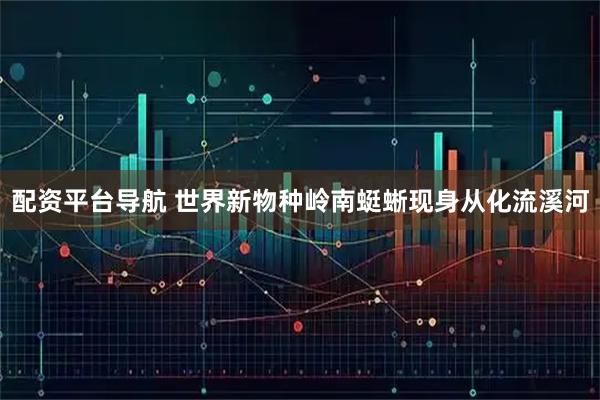 配资平台导航 世界新物种岭南蜓蜥现身从化流溪河